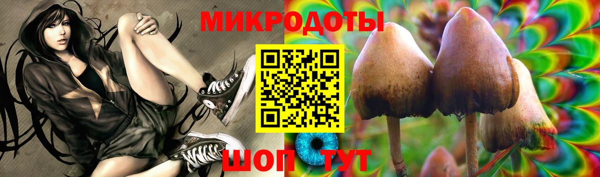 Галлюциногенные грибы MAGIC MUSHROOMS Междуреченск